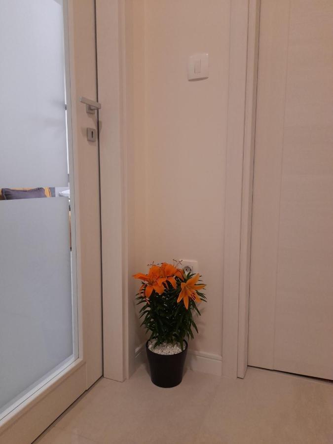 Apartment Diamond Podgorica Zewnętrze zdjęcie